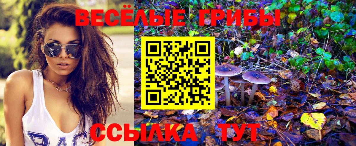 Галлюциногенные грибы Cubensis Реутов