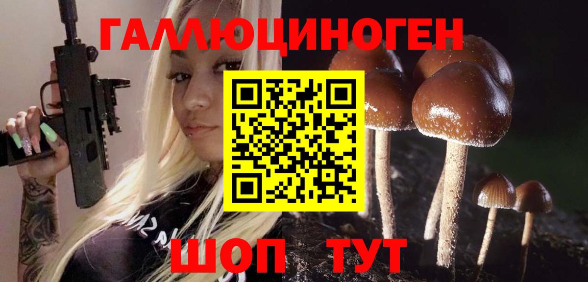 Галлюциногенные грибы Psilocybe  Вход с VPN  Реутов  Галлюциногенные грибы мицелий 